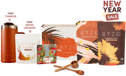 Lasting Energy Bundle A12E