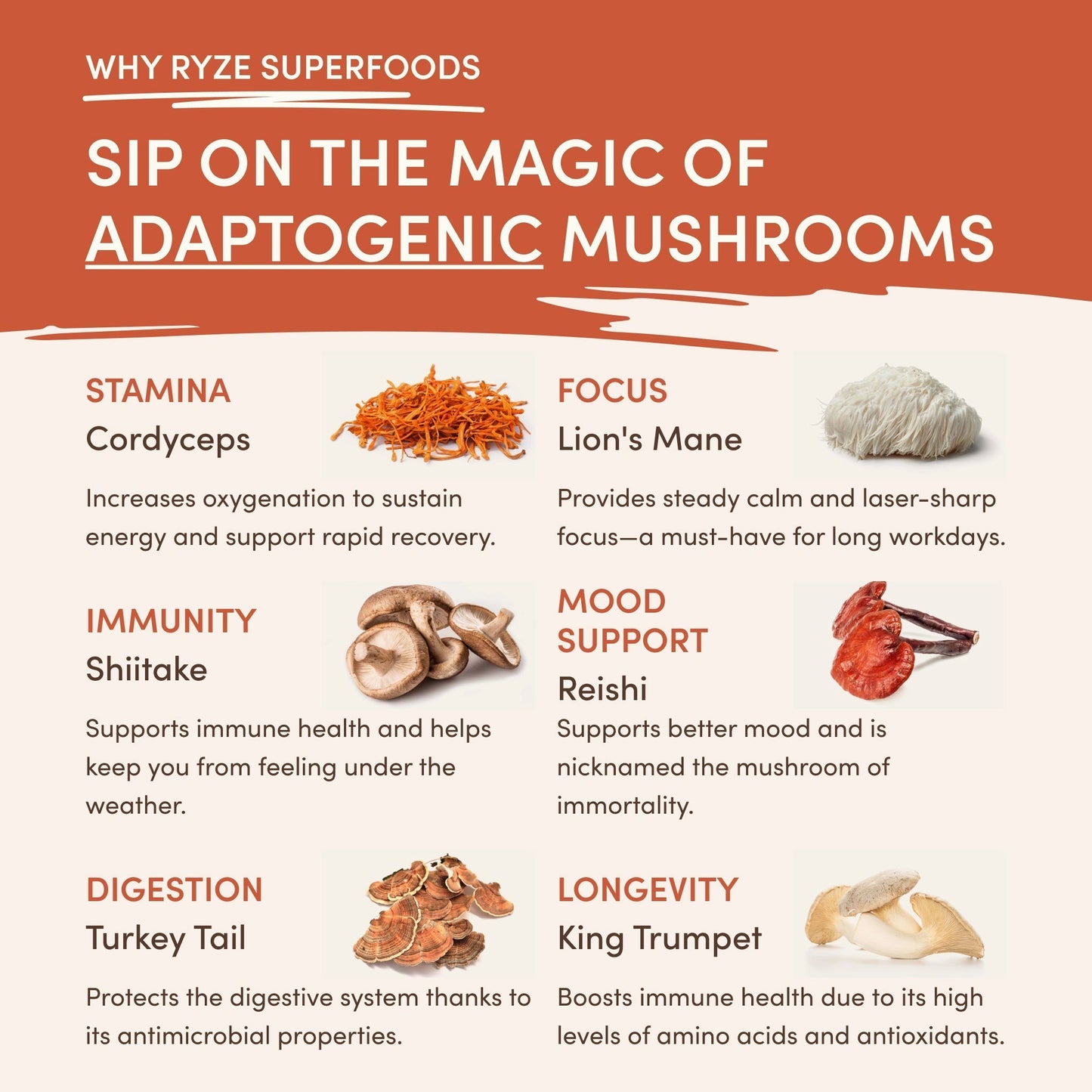 Superfood Creamer A10D