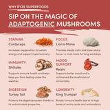 Mushroom Chai A07R