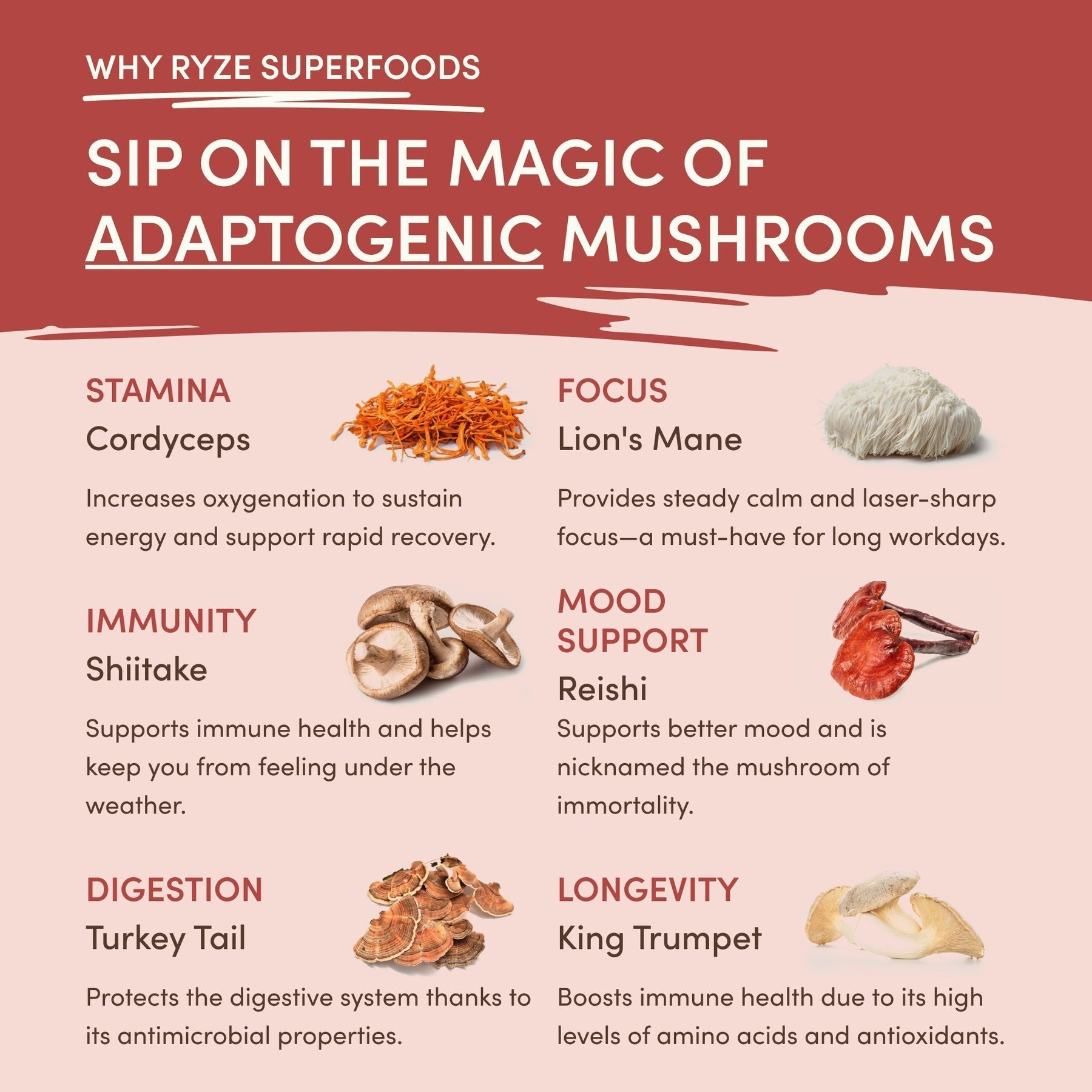 Mushroom Chai A07R